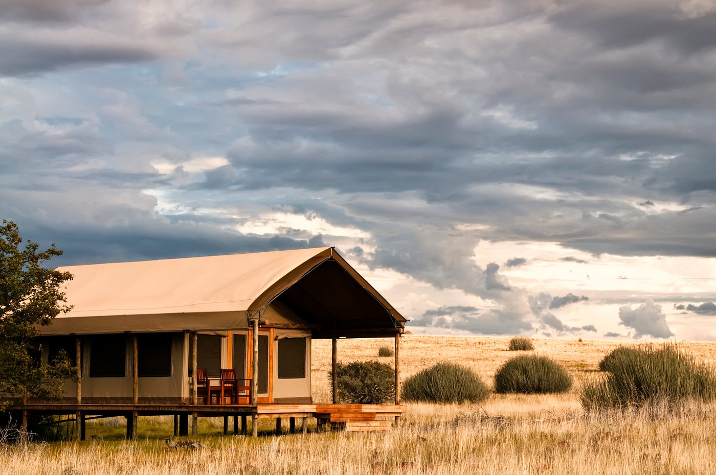 Desert Rhino Camp