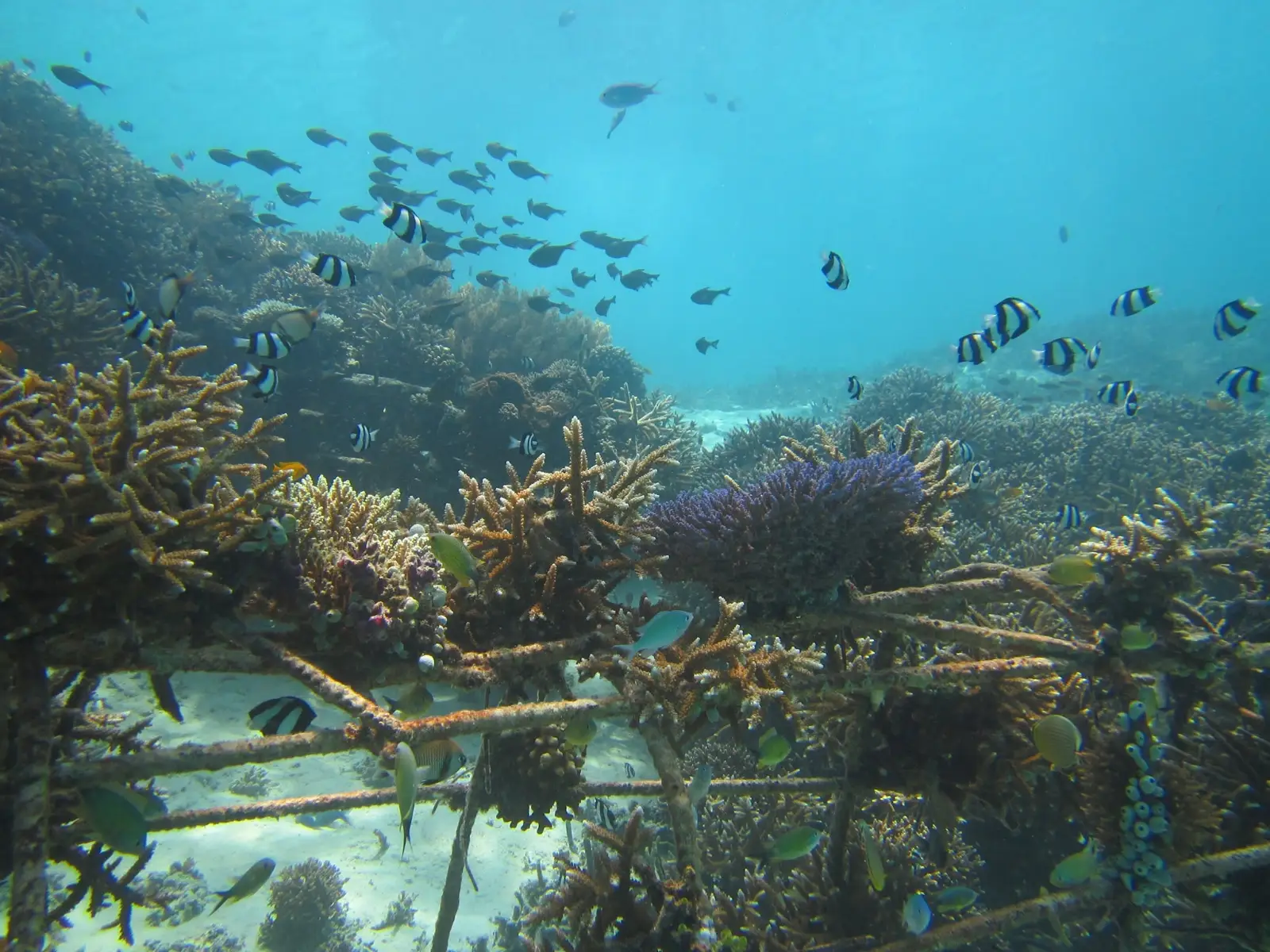 Gili Eco Trust