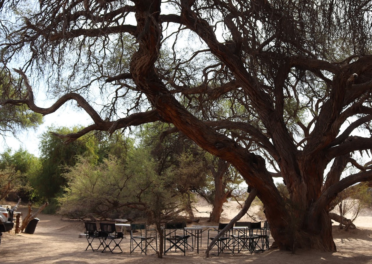 Puros Bush Lodge and Camp