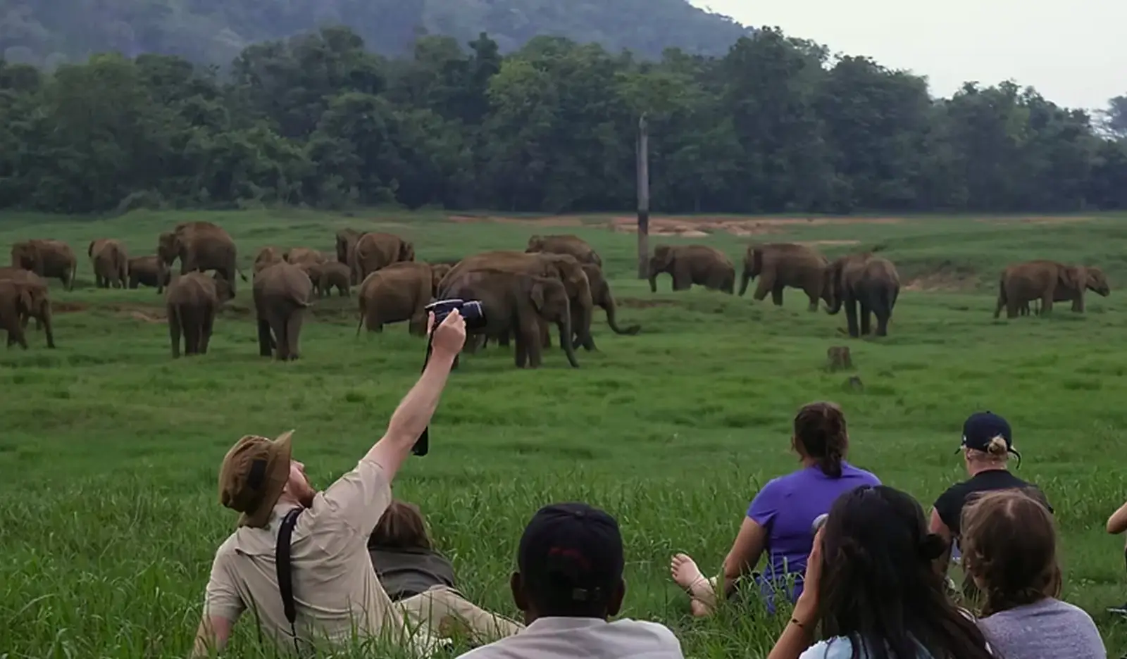 Sri Lanka Wildlife Conservation Society (SLWCS)