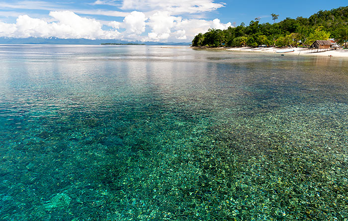Stay Raja Ampat
