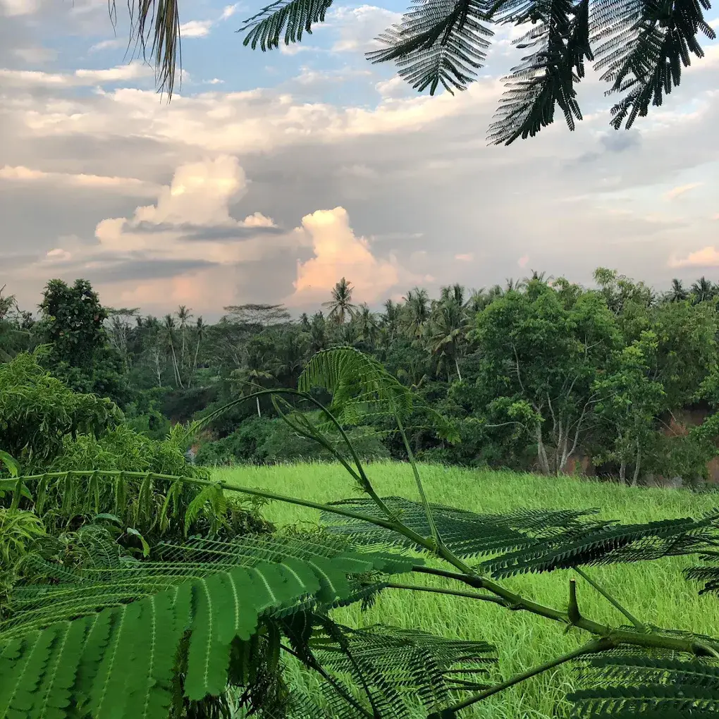 Sua Bali